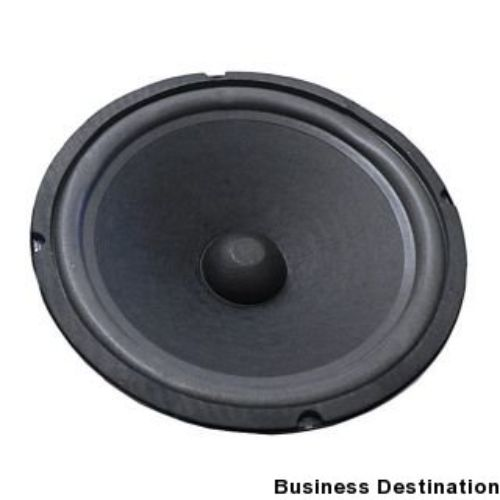 woofer-10-150w-doppio-magnete