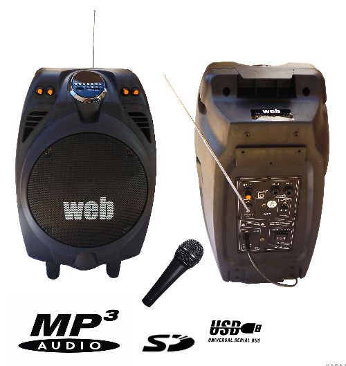 cassa-acustica-amplificata-portatile-200w